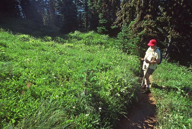 1998-07 Tolmie Pk Mt Rainier NP 05.jpg